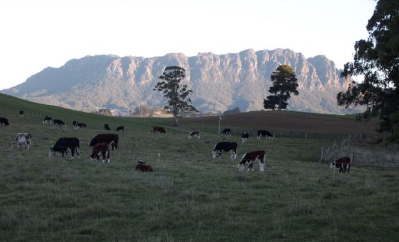 Mt Roland - view from our boundary